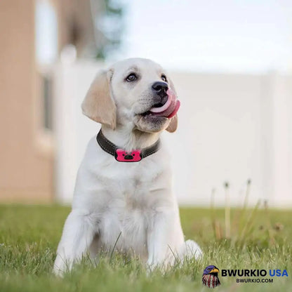 Barkey Anti-Bark Collar