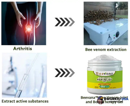 Beevana Bee Venom Joint And Bone Therapy Cream