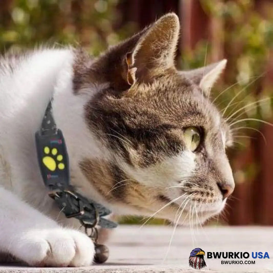 Best Cat Gps Tracker Locator Device For Pets Home And Garden