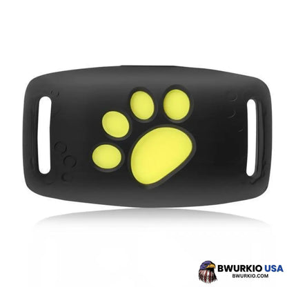 Best Cat Gps Tracker Locator Device For Pets Home And Garden