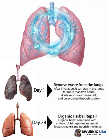 Breathe-Right: Organic Herbal Lung Cleanse & Repair Respiratory Nasal Spray Pro