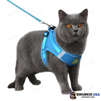 Luminous Cat Vest Harness And Leash Set