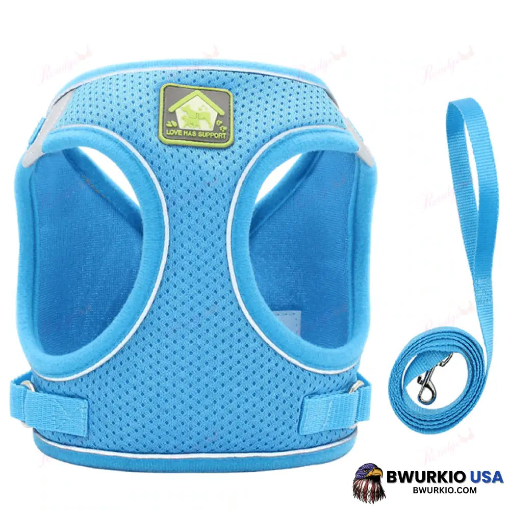 Luminous Cat Vest Harness And Leash Set Blue / Xs