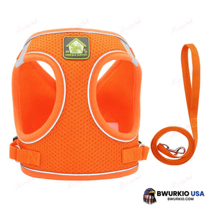 Luminous Cat Vest Harness And Leash Set Orange / Xs