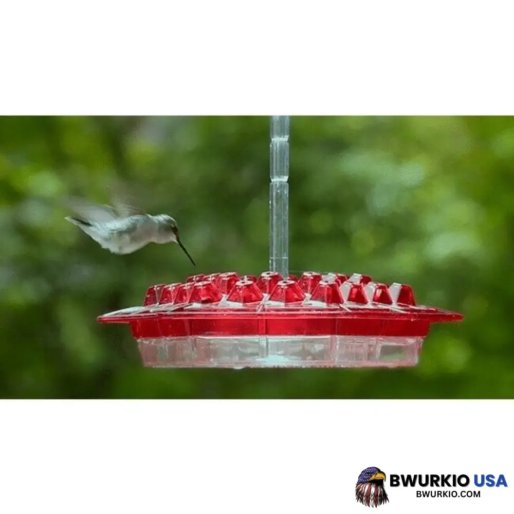 Marys Hummingbird Feeder With Perch And Built-In Ant Moat