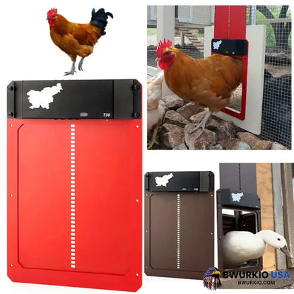 Sale Automatic Chicken Coop Door