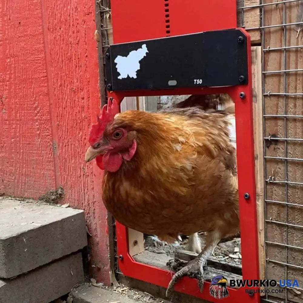 Sale Automatic Chicken Coop Door