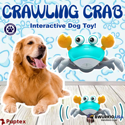 Sale - Crawling Crab Interactive Dog Toy