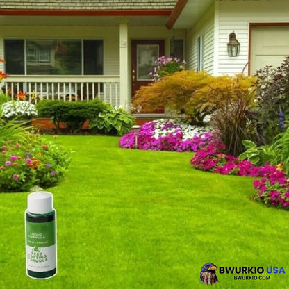 Sale Green Grass & Pest Control Lawn Spray 1 (Only Liquid)