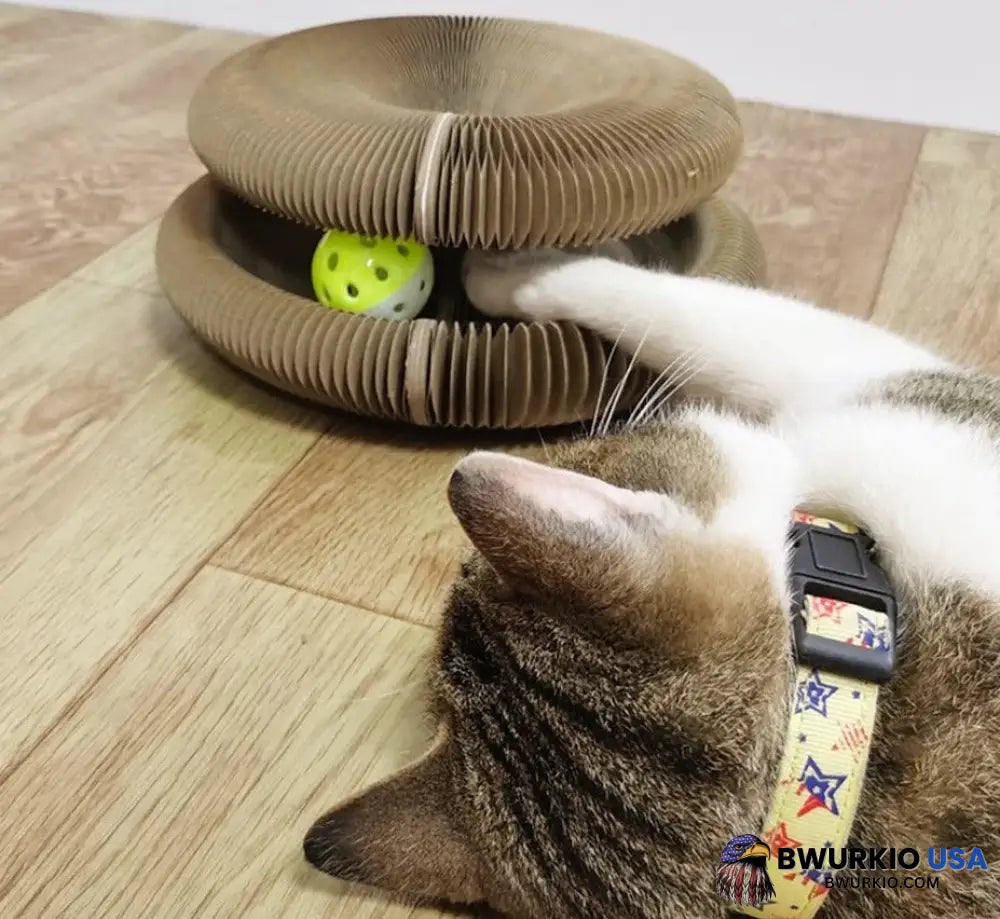 Sale - Organlada Cat Scratcher