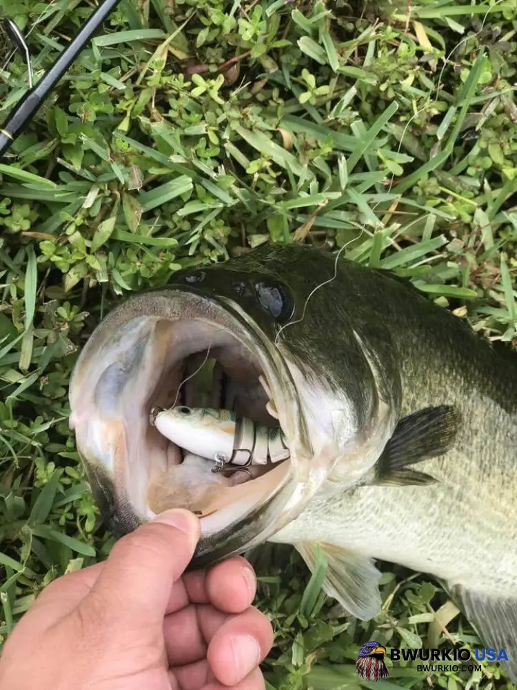 The Spirebuzz Lifelike Swimbait