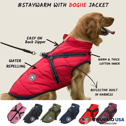 Waterproof Winter Dog Jacket With Built-In Harness Red / S